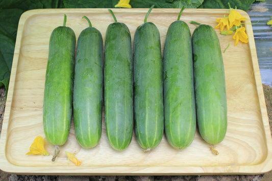 Marketmore 76 Slicing Cucumber Seeds