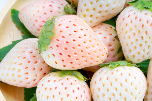 White Soul Strawberry Fruit Seeds