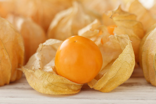 Peruvian Ground Cherry Seeds