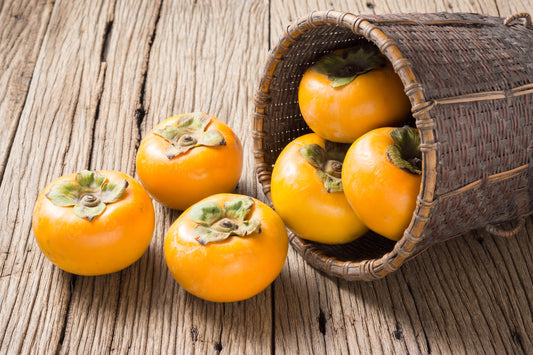 American Persimmon Fruit Seeds