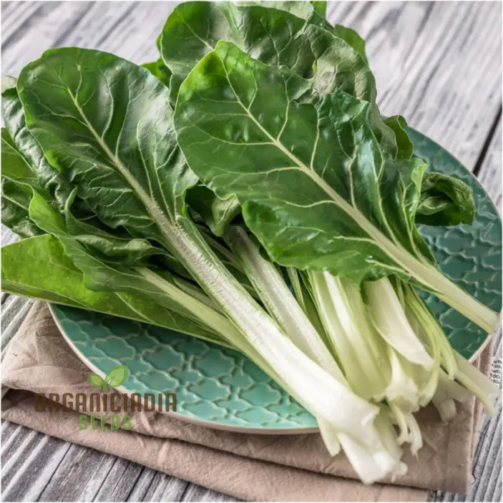 Silverbeet - Silverton Seeds For Planting And Gardening | Premium Quality