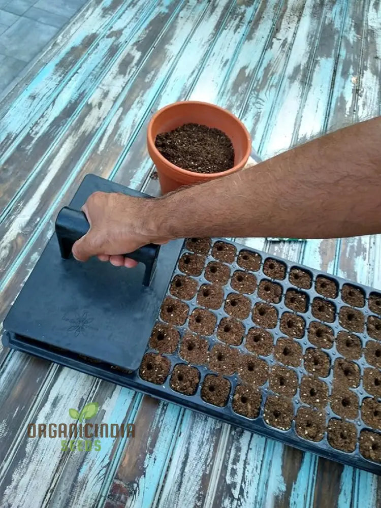 Soil Digger And Seed Spacer For Planting Seeds With 24 Holes | Innovative Garden Tool Perfect Gift