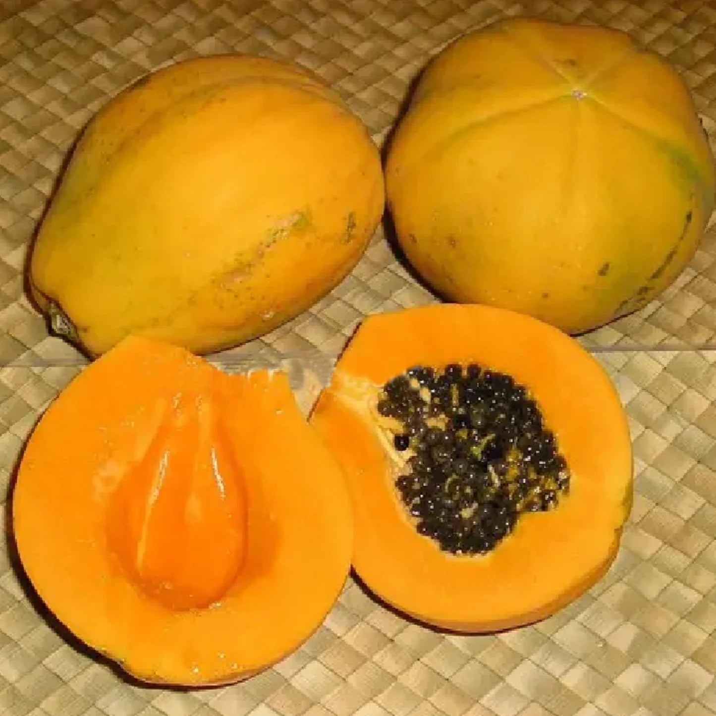 Solo Papaya Seeds for Planting – High-Yield, Sweet Tropical Fruit