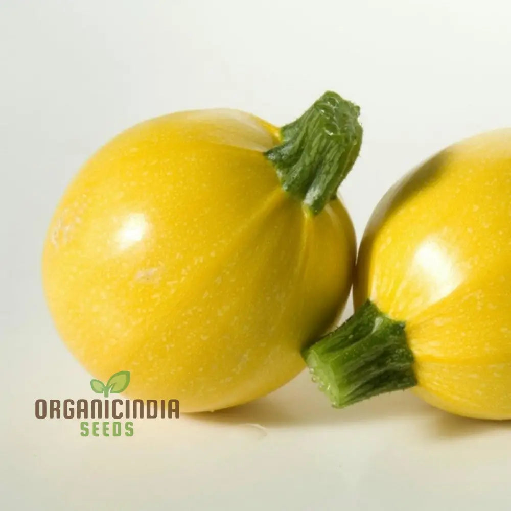 Squash Globe Round Yellow Vegetable Seeds For Planting Grow Delicious