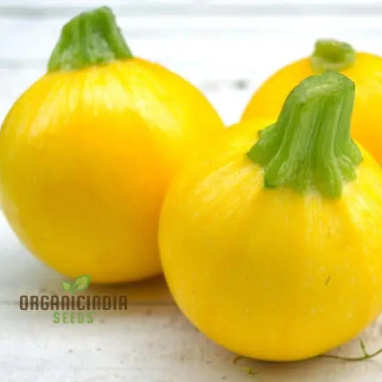 Squash Globe Round Yellow Vegetable Seeds For Planting Grow Delicious