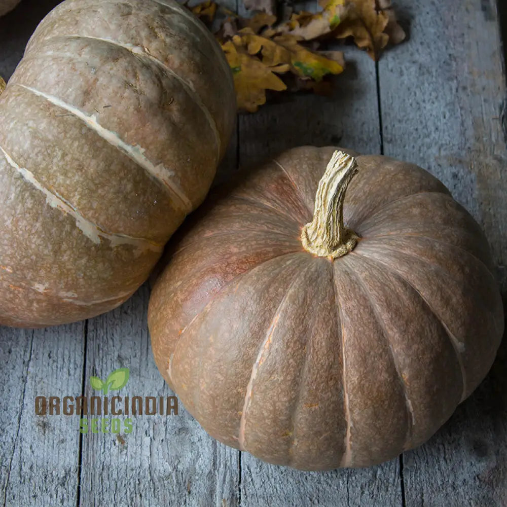 Strawberry Crown Squash Seeds - Grow Flavorful And Unique In Your Garden