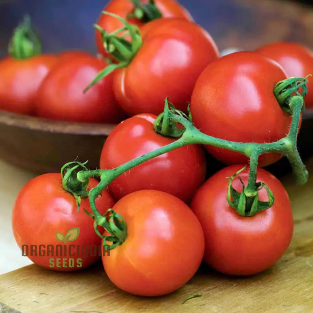 Summer Frolic Tomato Seeds - Juicy And Flavorful Tomatoes For Your Garden