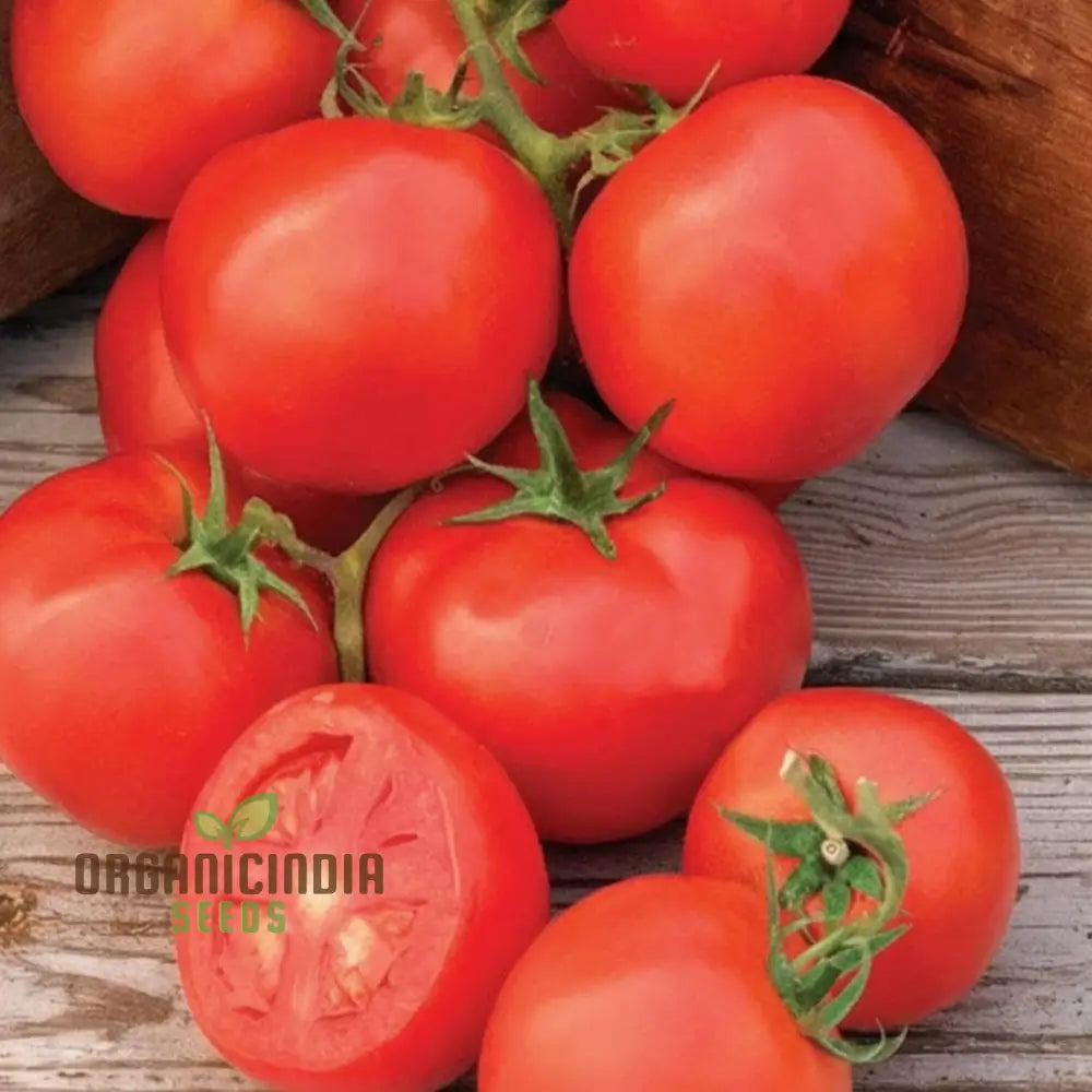 Summer Frolic Tomato Seeds - Juicy And Flavorful Tomatoes For Your Garden