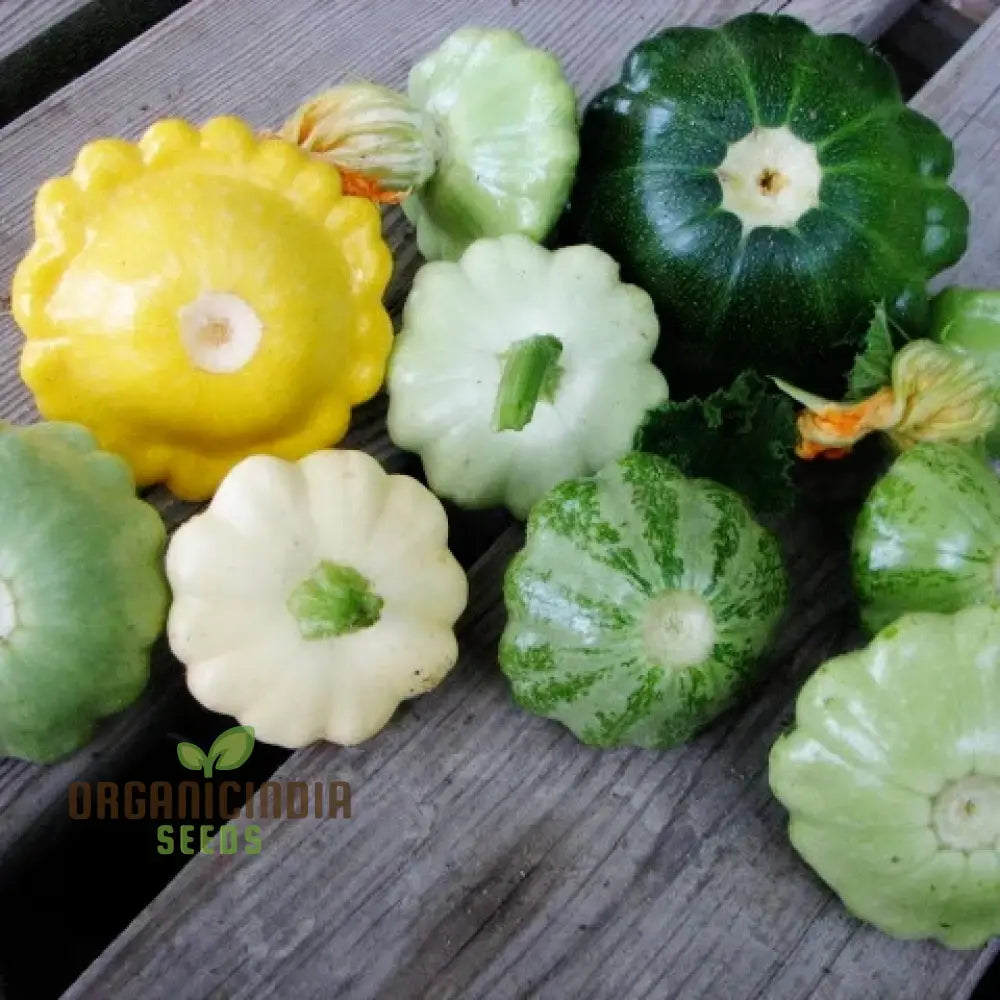 Summer Squash Seeds - Scallop Blend | Premium Gardening For Your Garden