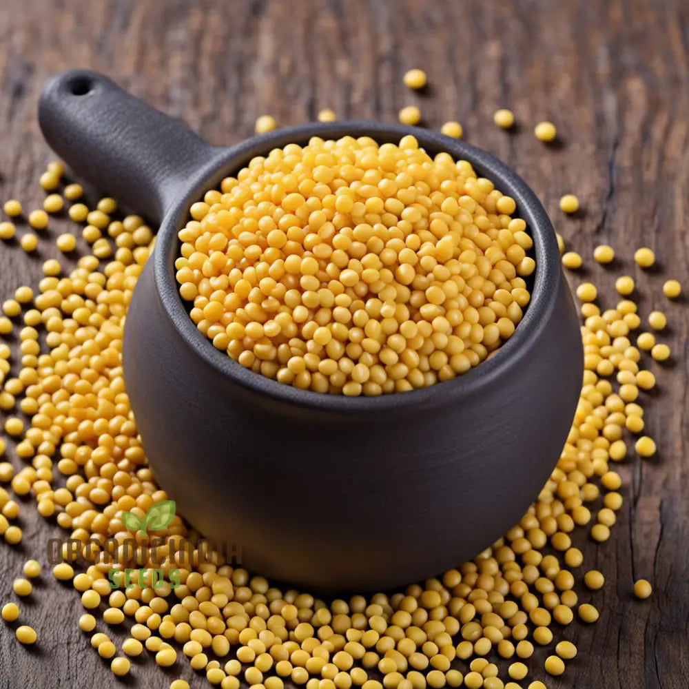 Sunshine’s Bounty Yellow Mustard Seeds Bask In Nature’s Radiance - Planting Vibrant Harvest Of