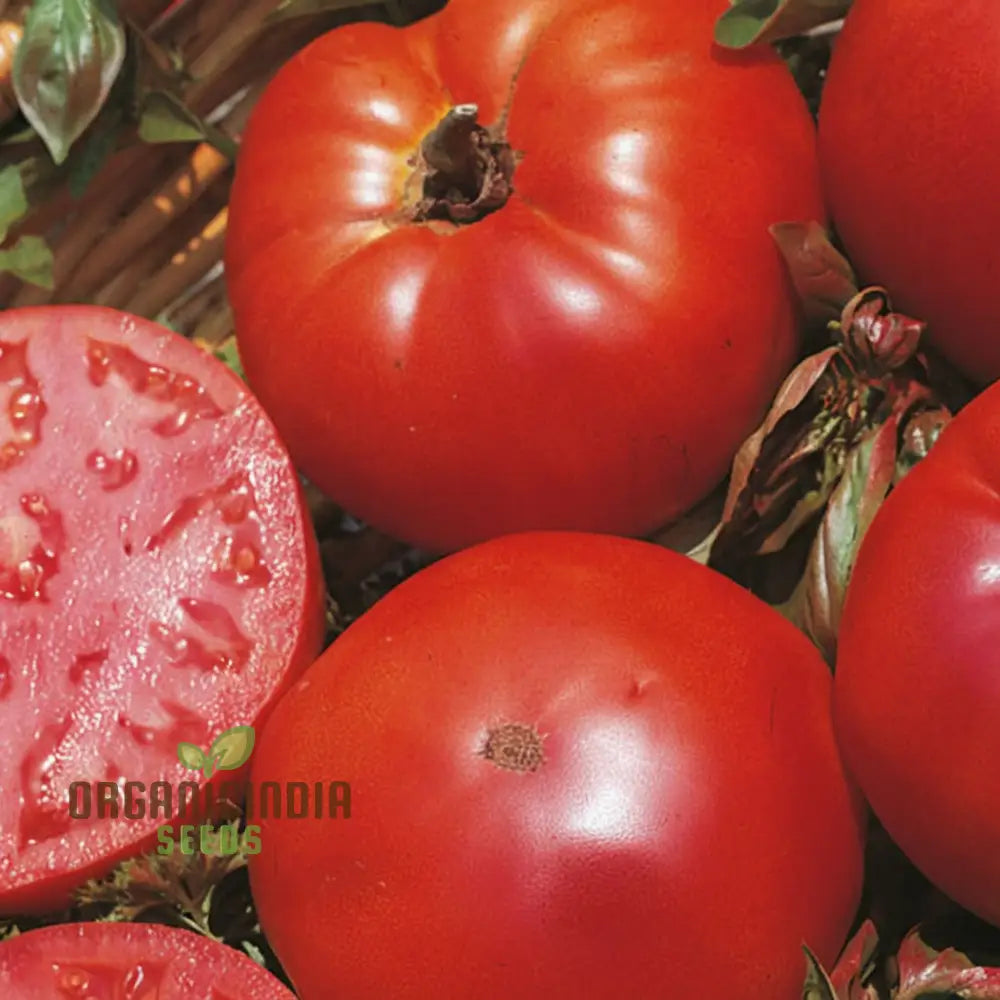 Super Marmande Tomato Seeds - Large And Flavorful Tomatoes For Your Garden