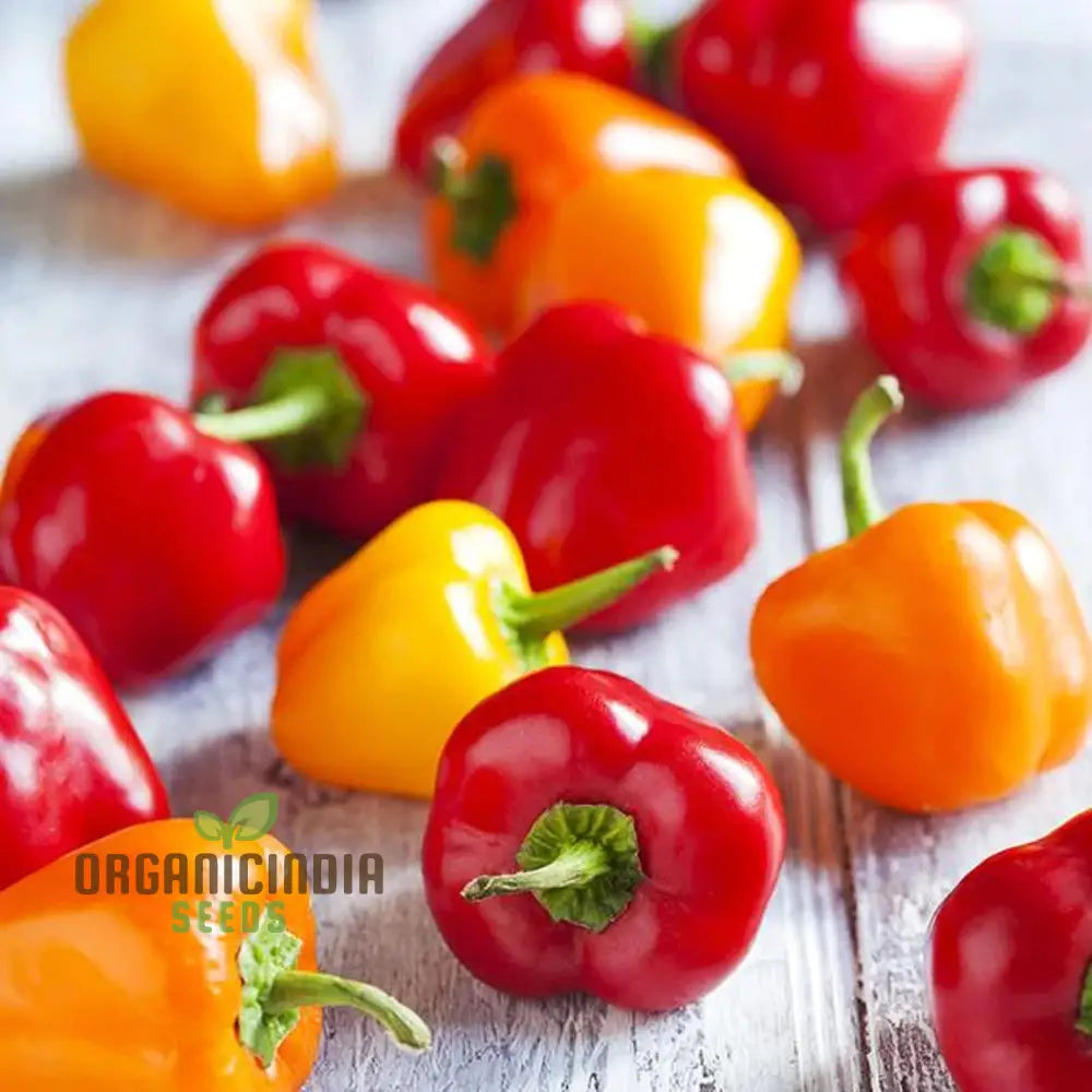 Sweet Pepper Seeds - Mini Bell Blend For Colorful Garden Flowers | Planting