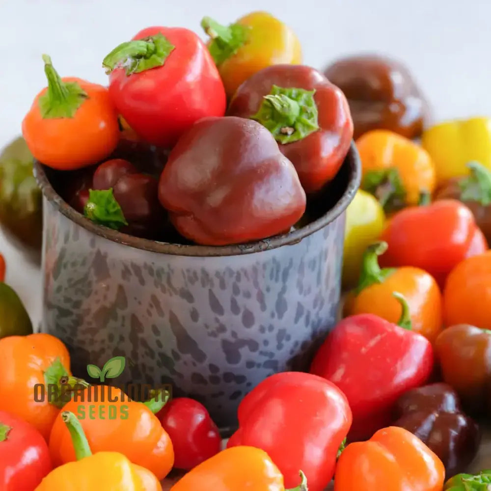 Sweet Pepper Seeds - Mini Bell Blend For Colorful Garden Flowers | Planting