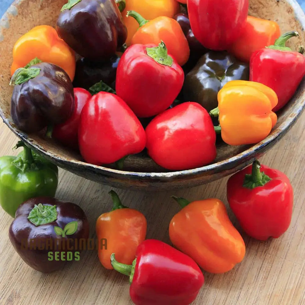 Sweet Pepper Seeds - Mini Bell Blend For Colorful Garden Flowers | Planting