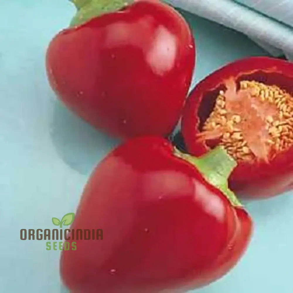 Sweet Pepper Seeds - Pimento | Premium Quality For Gardening