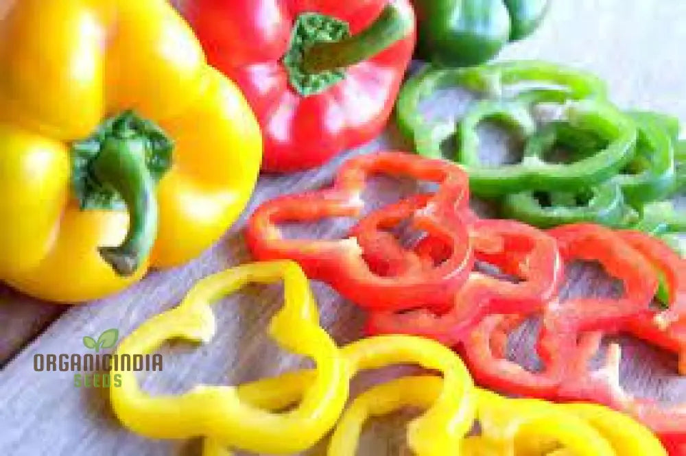 Sweet Pepper Seeds - Rainbow Bell Blend For Vibrant Garden Flowers Planting