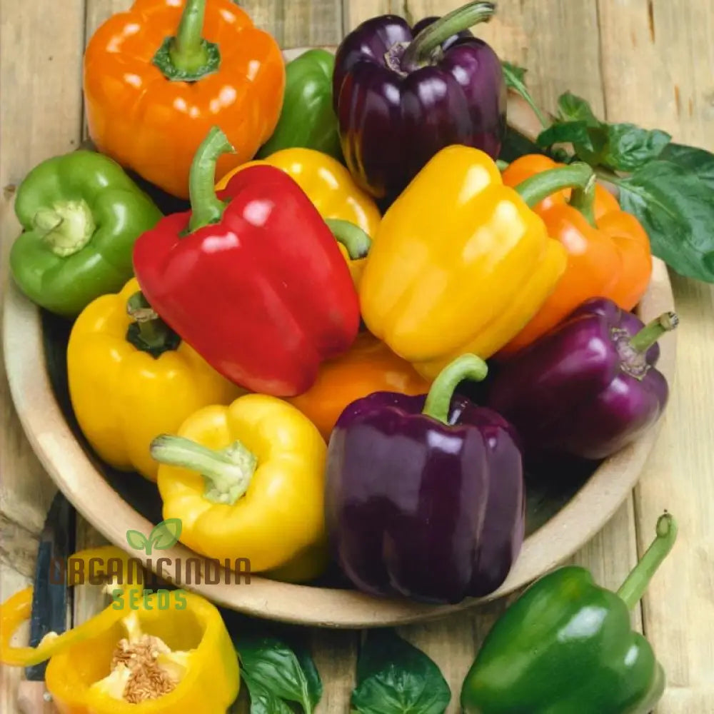 Sweet Pepper Seeds - Rainbow Bell Blend For Vibrant Garden Flowers Planting