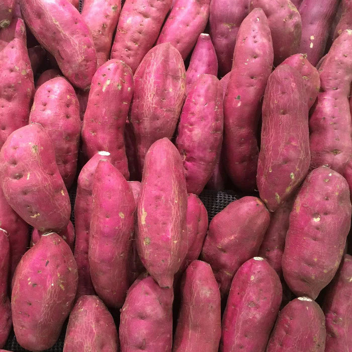 Fresh Sweet Potato Vegetable Seeds – 100Pcs for Planting, Pink Variety