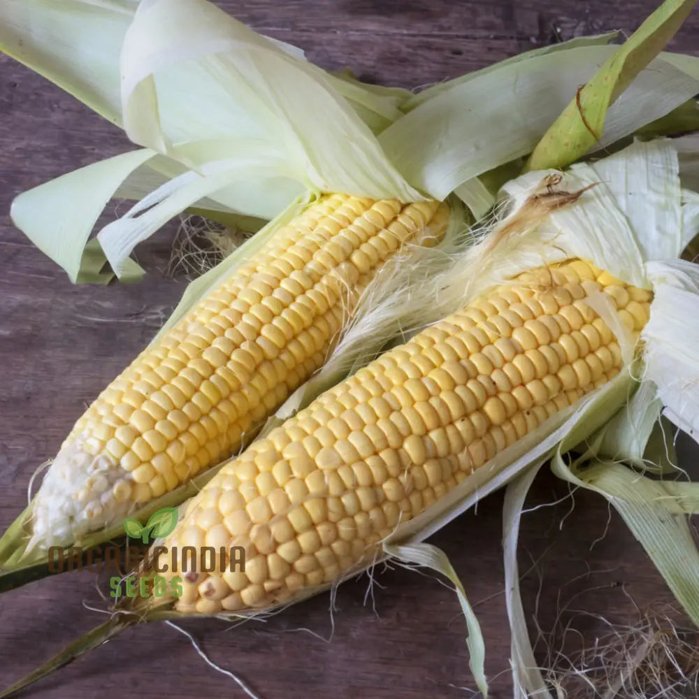 Sweetcorn Moonshine Vegetable Seeds High-Yield Sweet Flavor Perfect For Home Gardens