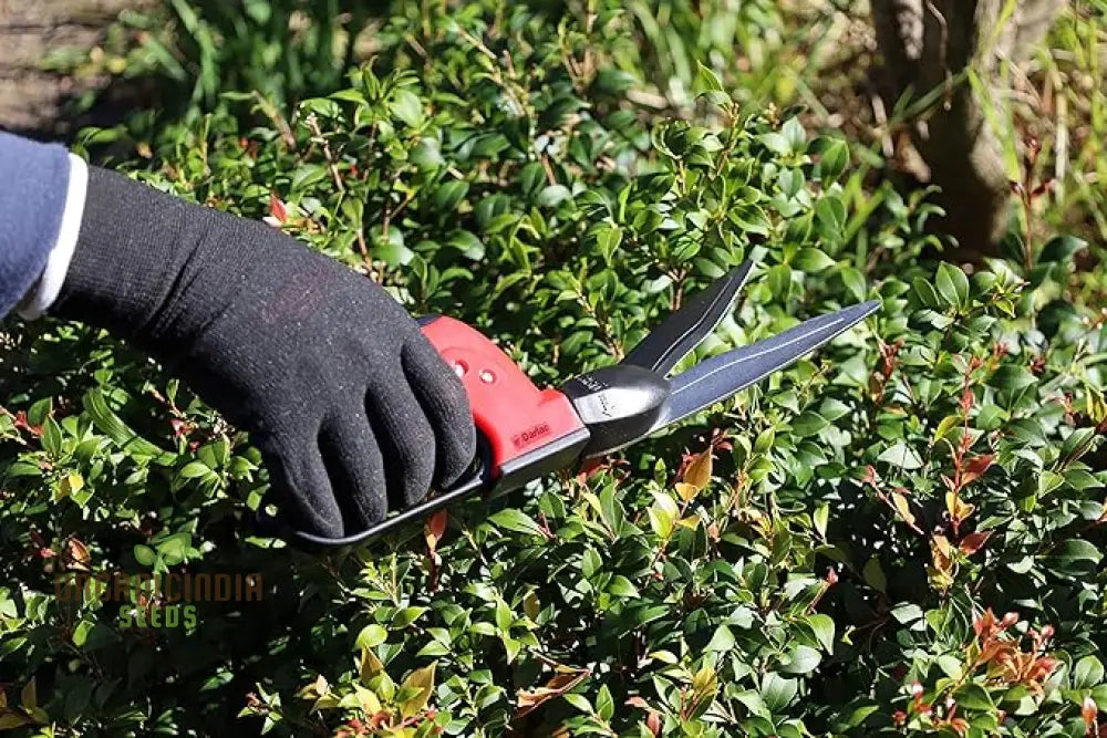 Swivel Action Grass Shear By Organicindiaseeds Garden Shears