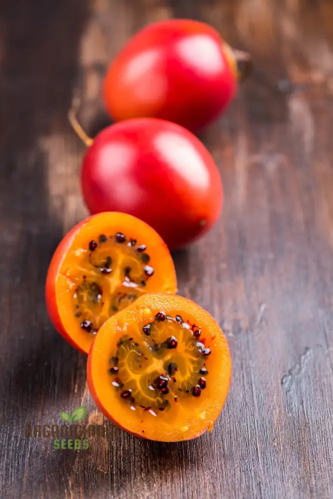 Tamarillo Seeds For Planting Your Gardening Needs | Buy Online