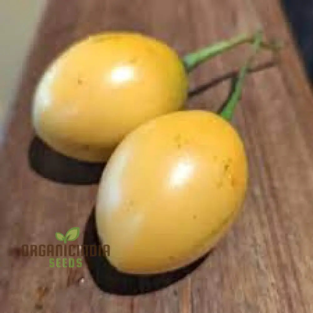 Tamarillo White Egg Seeds For Your Gardening Success