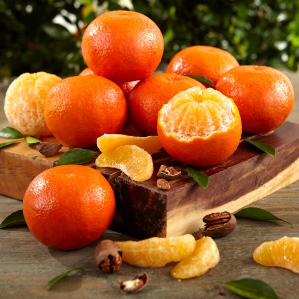 Temple Orange Seeds for Planting – Grow Sweet & Juicy Tangor Citrus Fruits