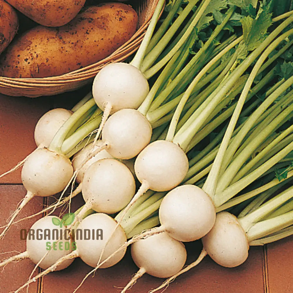 Tokyo Cross Turnip Vegetable Seeds Premium Quality For Crisp Sweet Turnips Ideal Home Garden