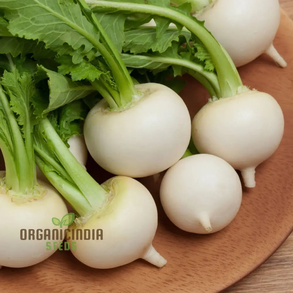 Tokyo Cross Turnip Vegetable Seeds Premium Quality For Crisp Sweet Turnips Ideal Home Garden