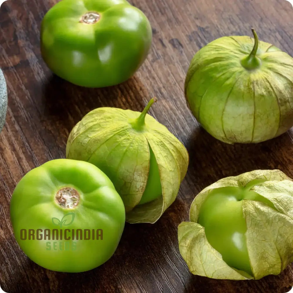 Tomatillo Verde Vegetable Seeds For A Versatile And Flavorful Addition To Your Garden