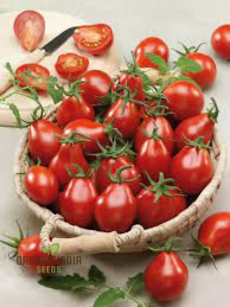 Tomato Austin’s Red Pear Seeds - Premium For Gardening