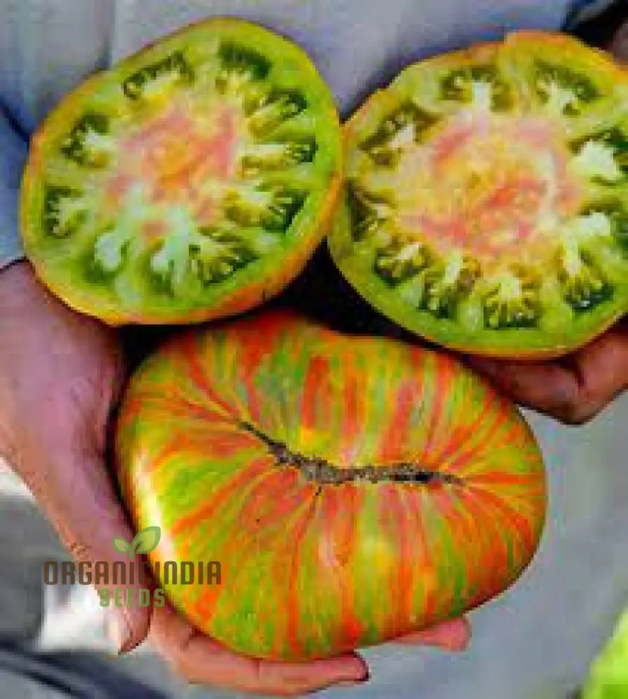 Tomato Berkley Tie Dye Seeds For Your Garden | Organic Gardening