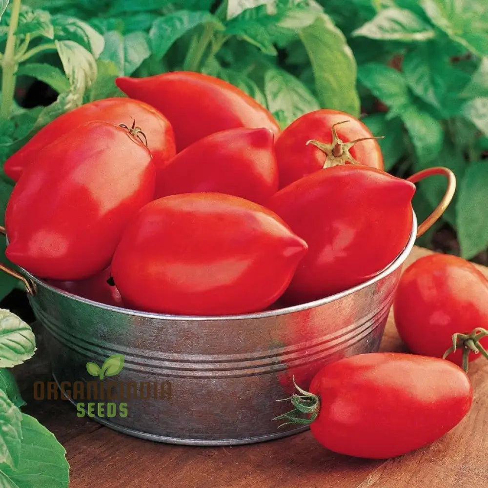 Tomato German Red Strawberry Seeds For Planting - Premium Gardening Vibrant Tomatoes