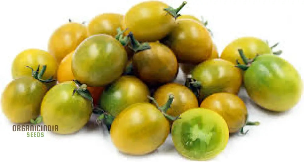 Tomato Green Grape Seeds - Premium Quality For Successful Gardening