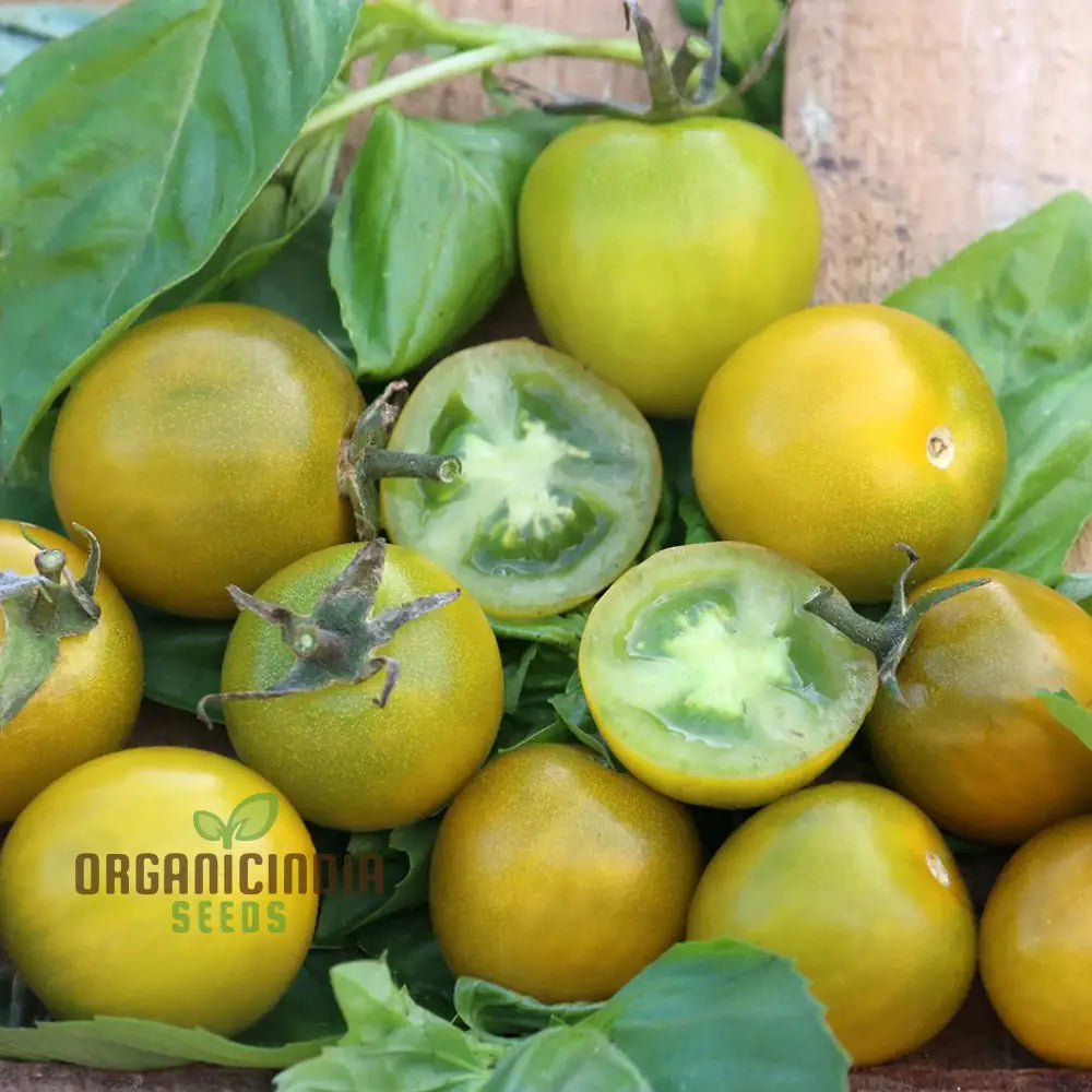 Tomato Green Grape Seeds - Premium Quality For Successful Gardening