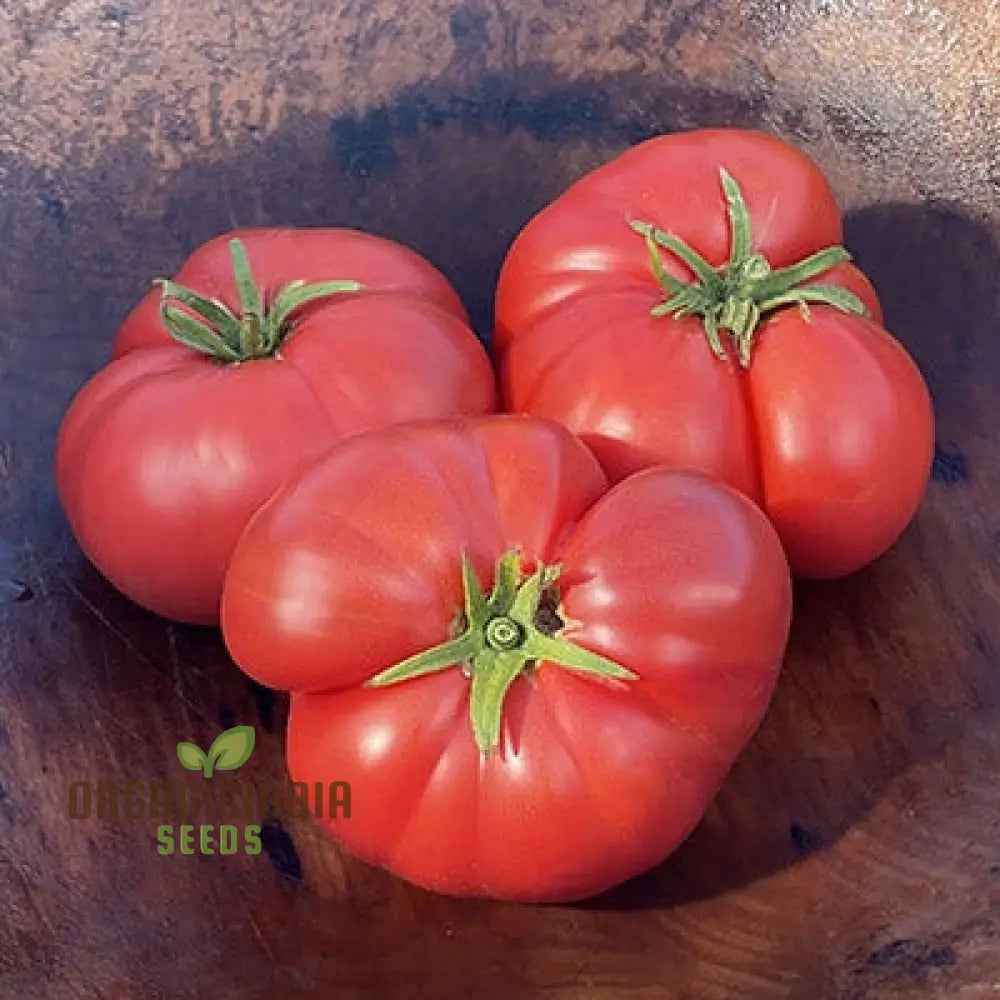 Tomato Henderson’s Winsall Seeds - Premium Quality For Expert Gardening