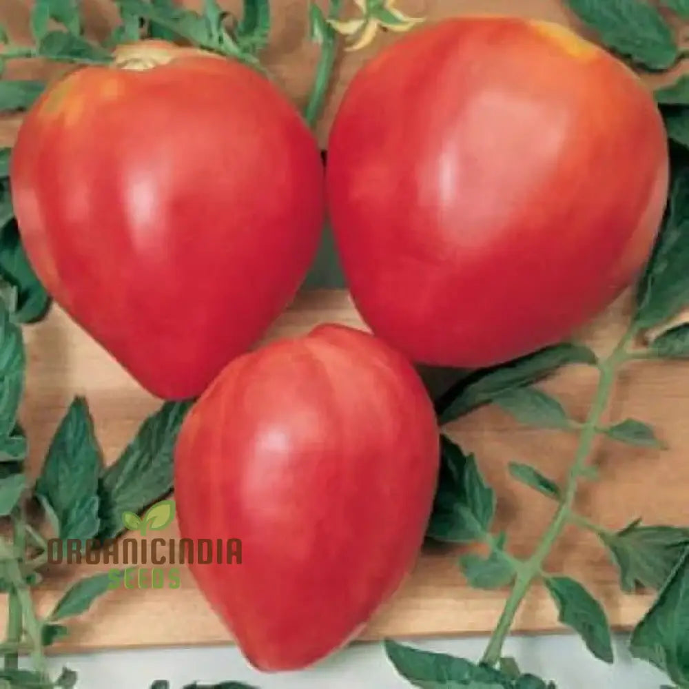 Tomato Hungarian Heart Seeds For Planting– Premium Quality Gardening Enthusiasts