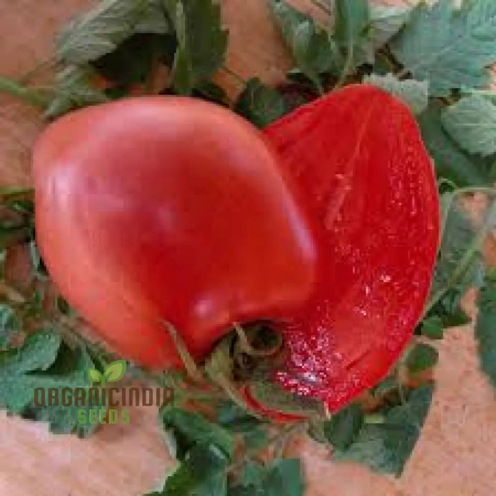 Tomato Hungarian Heart Seeds For Planting– Premium Quality Gardening Enthusiasts