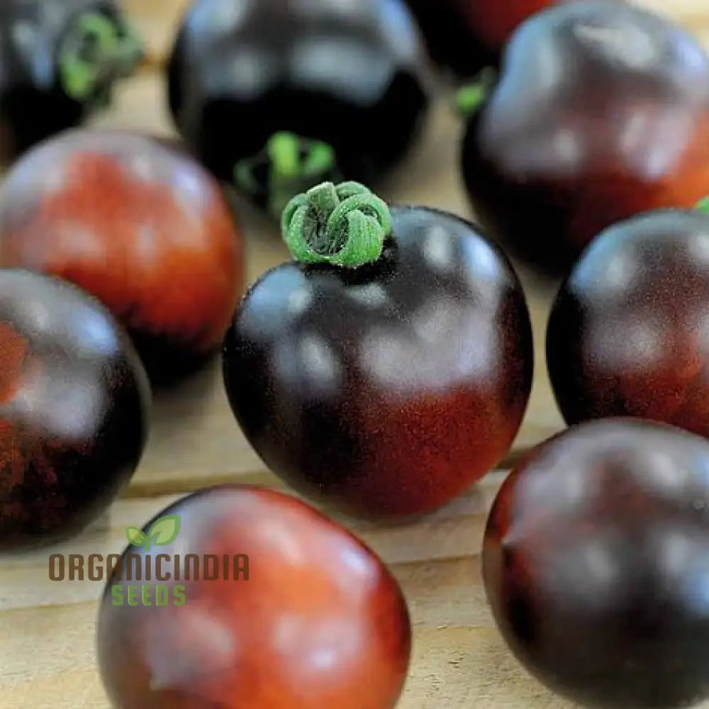 Tomato Indigo Cherry Drops Seeds - Premium Quality For Gardening