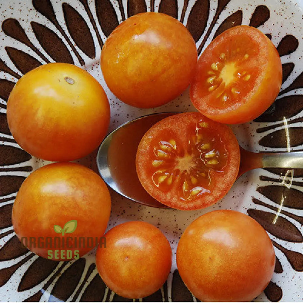 Tomato Lewis’ Long Keeper Seeds - Premium Quality For Thriving Gardening