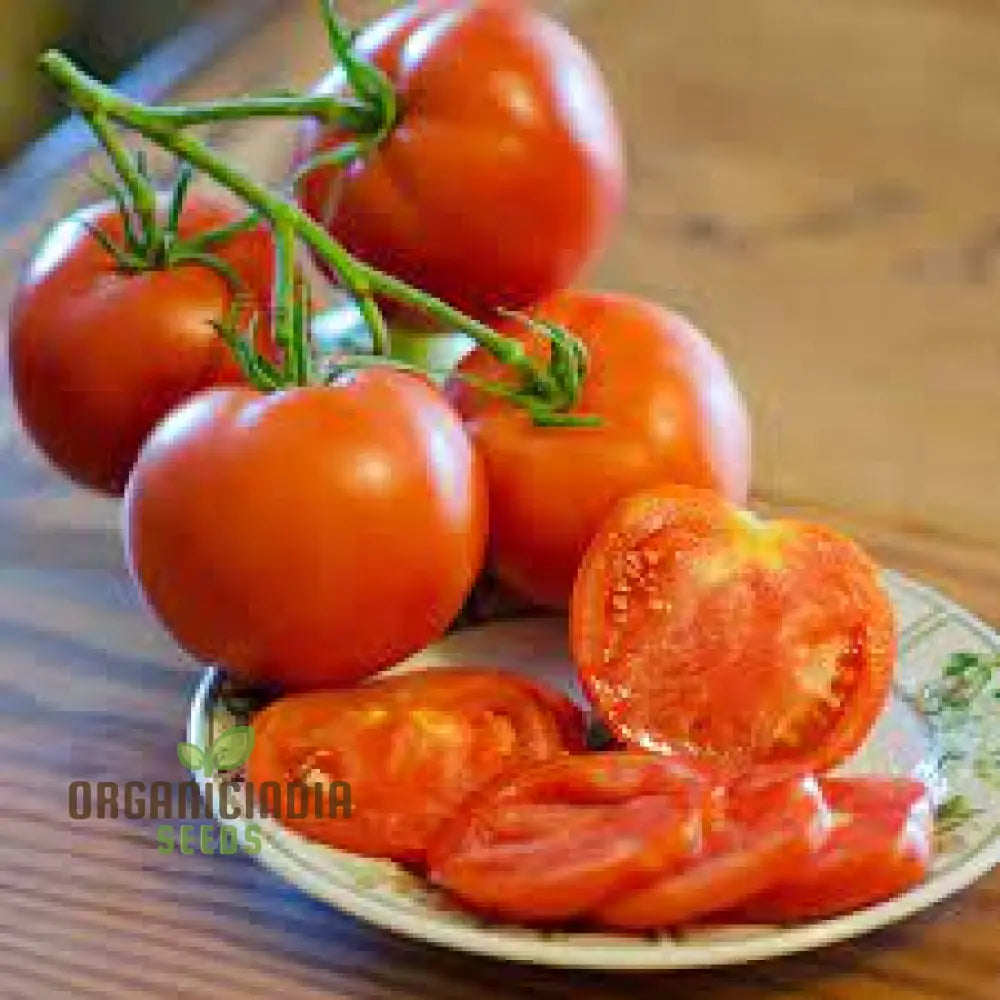 Tomato Lewisâ€™ Long Keeper Seeds - Premium Quality For Thriving Gardening