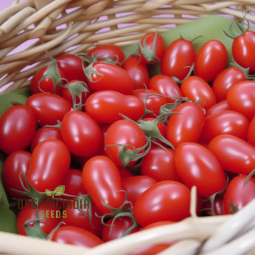 Tomato Luciebell Vegetable Seeds To Cultivate Exquisite Tomatoes That Promise Elevate Your Garden