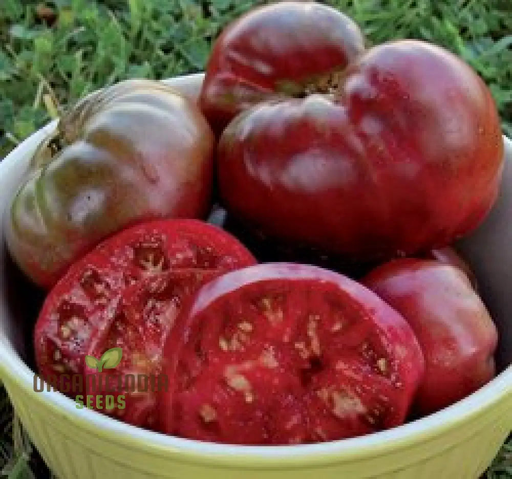 Tomato Memorabilia Seeds - Organic Perennials Fruit