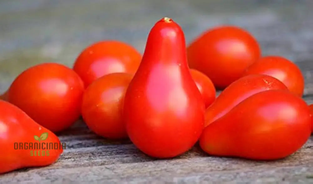 Tomato Pear Fruit Seeds Planting - 100 Pcs