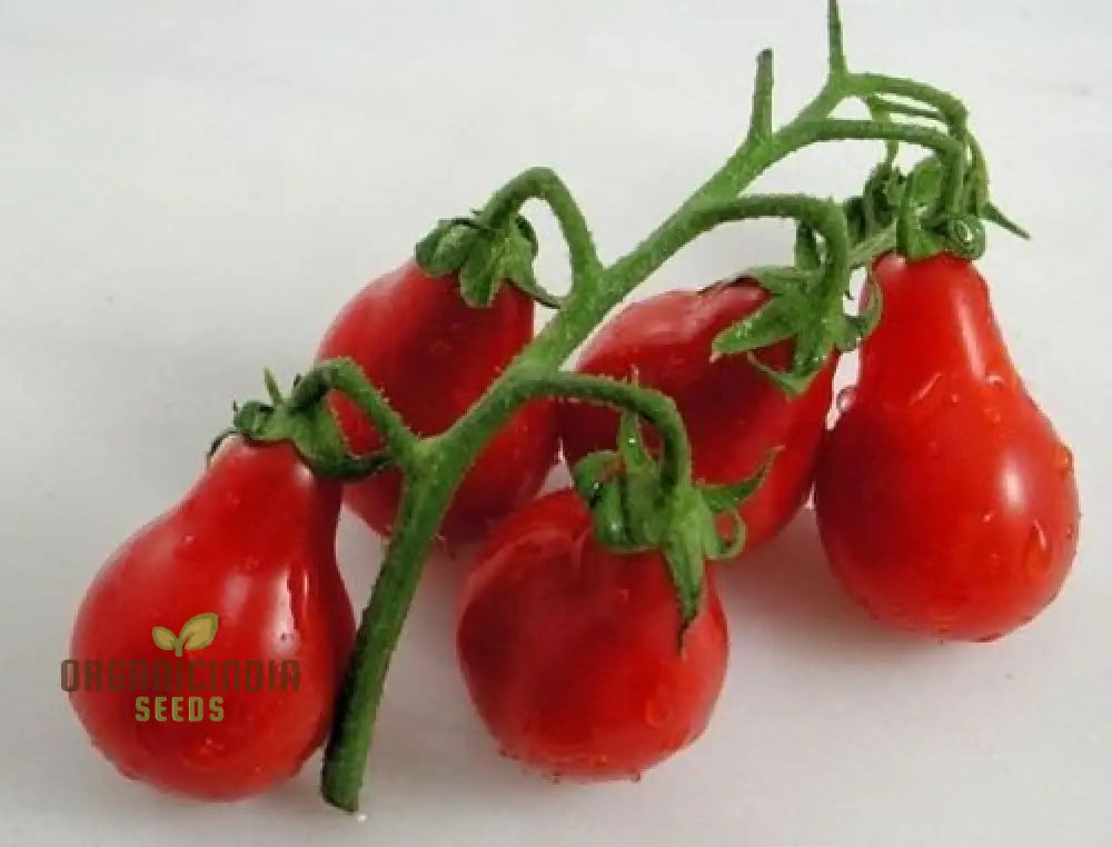 Tomato Pear Fruit Seeds Planting - 100 Pcs