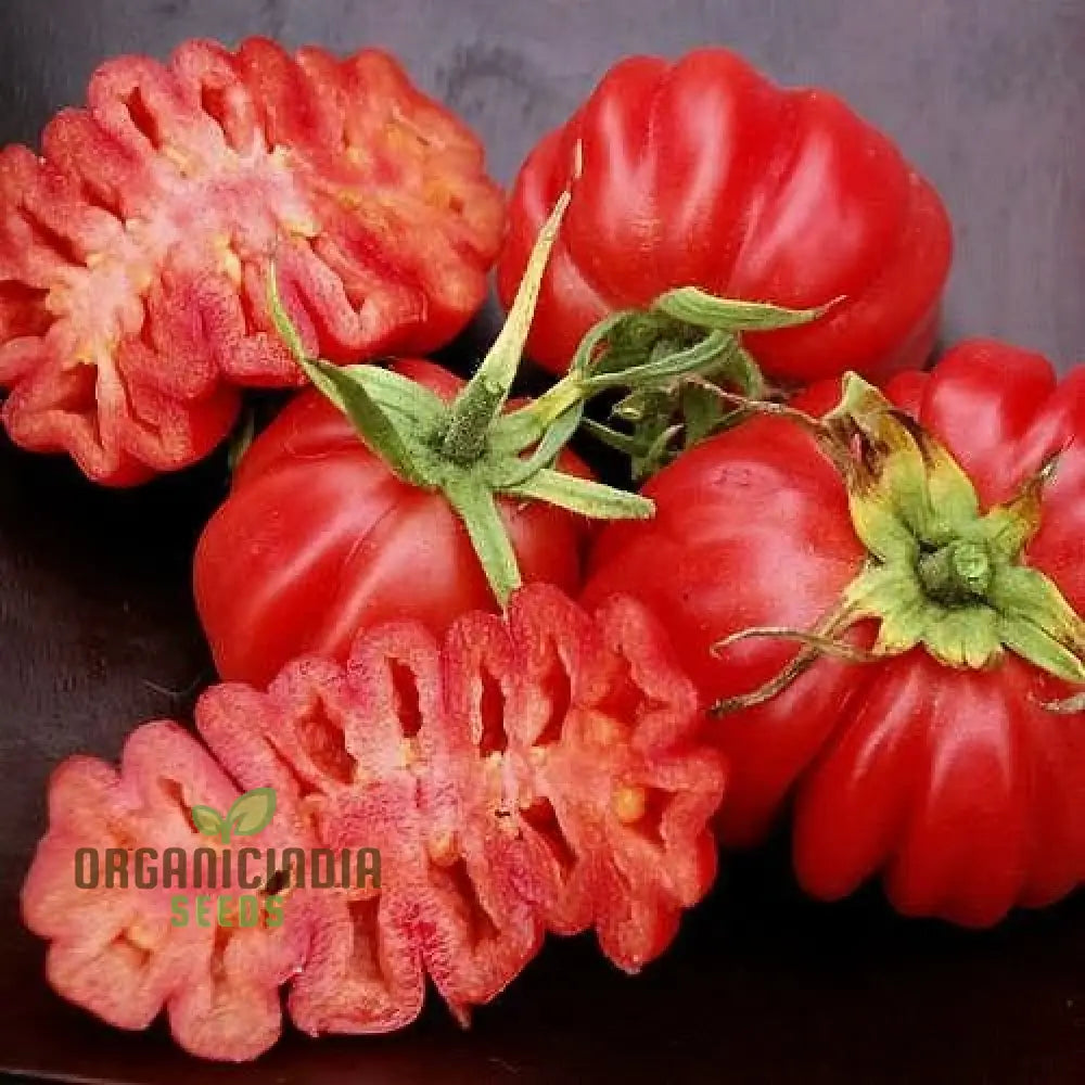 Tomato Pink Accordion Seeds For Gardening | Premium Heirloom Your Garden