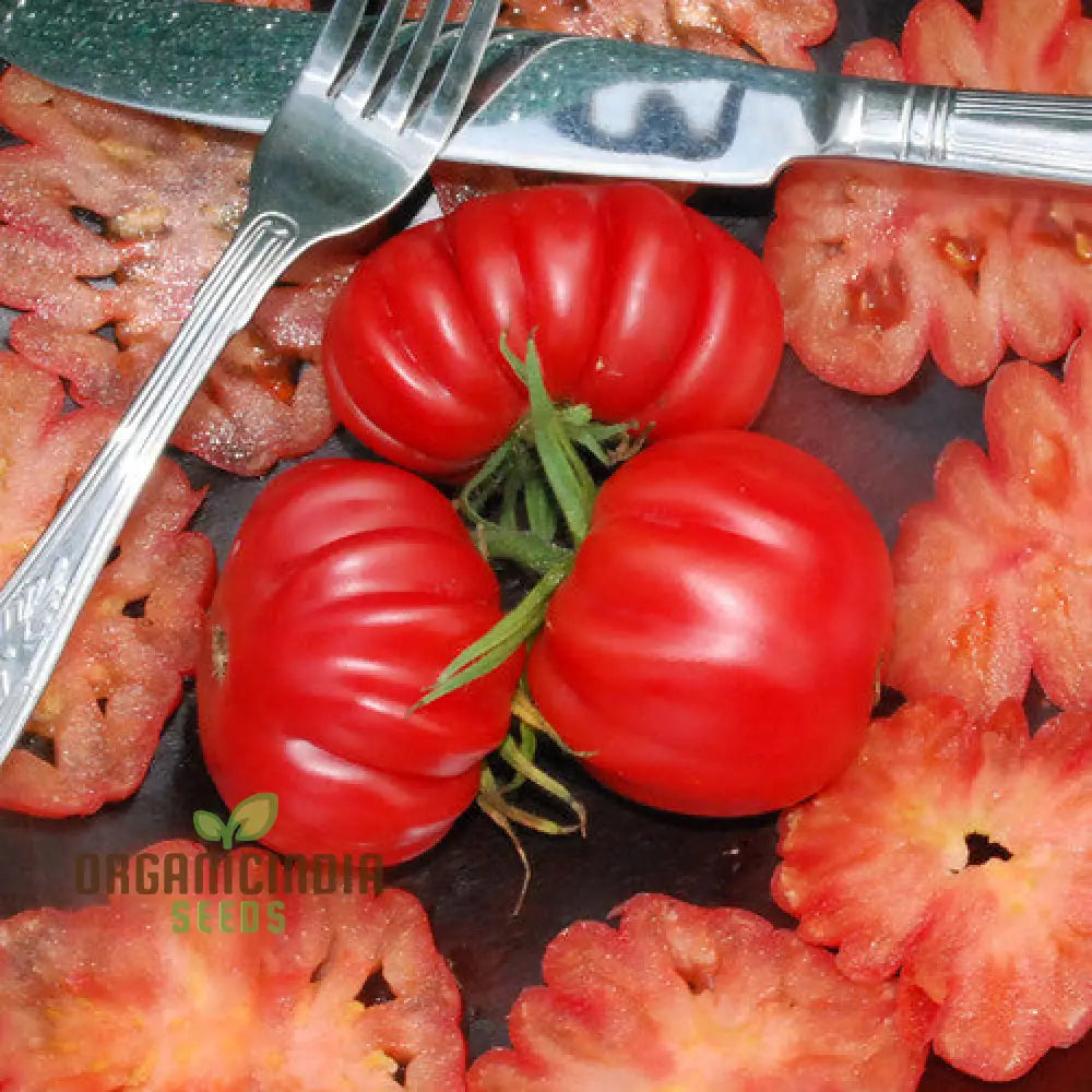 Tomato Pink Accordion Seeds For Gardening | Premium Heirloom Your Garden