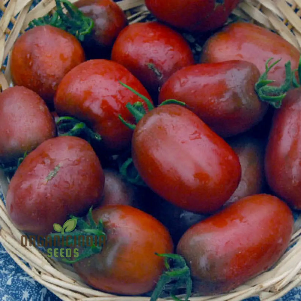 Tomato Purple Russian Seeds For Gardening – Buy Organic Online Your Garden