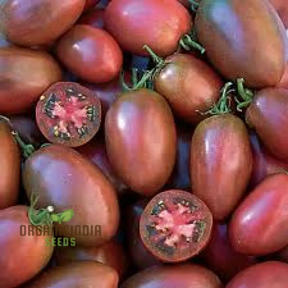 Tomato Purple Russian Seeds For Gardening – Buy Organic Online Your Garden