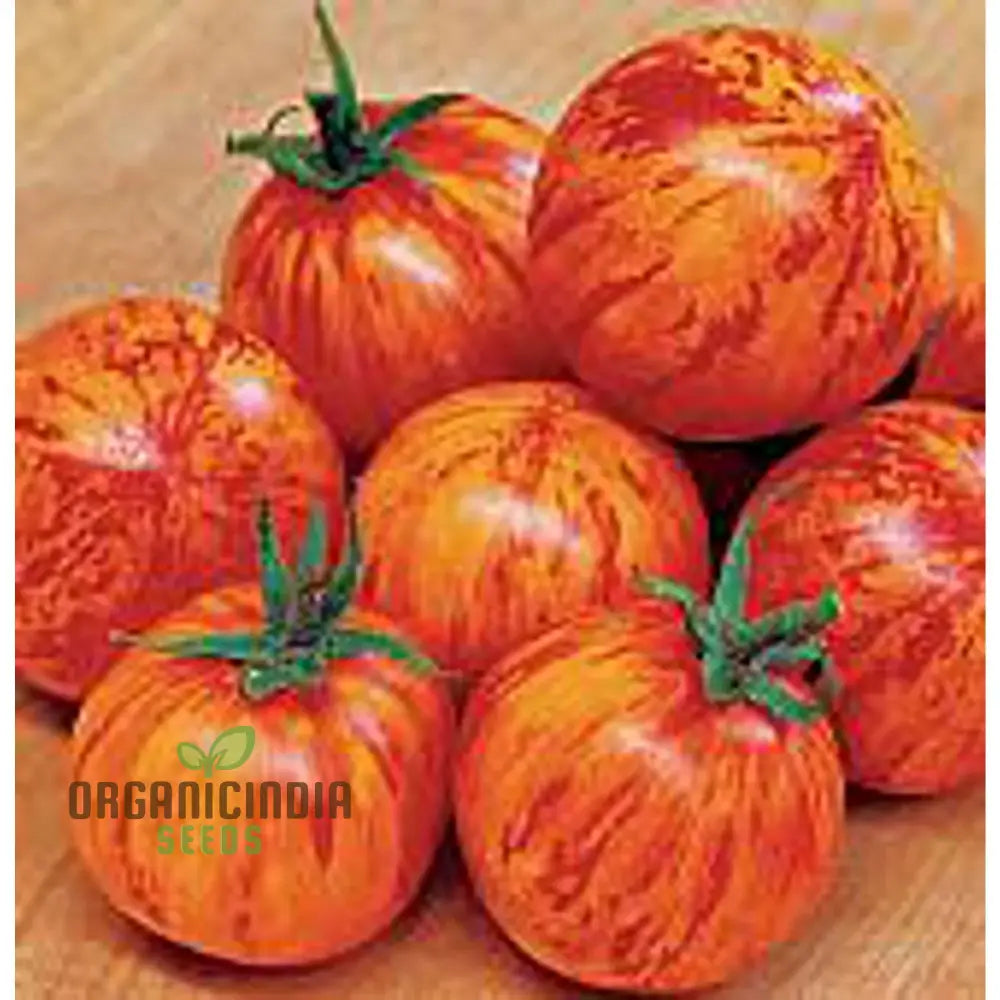 Tomato Red Zebra Seeds For Home Gardening - Heirloom Vegetable Vibrant Striped Tomatoes